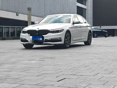 2018 BMW 5 Series Facelift 530Li Leading Luxury Package, фото 1, лот 11134421