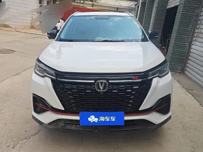 2021 Changan CS55 PLUS Blue Whale Edition 1.5T DCT Premium, фото 2, лот 10248812