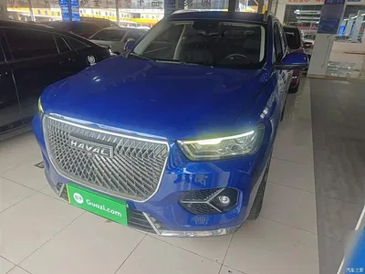 2021 Haval H6 Model 1.5T Automatic Champion Edition, фото 1, лот 10287064