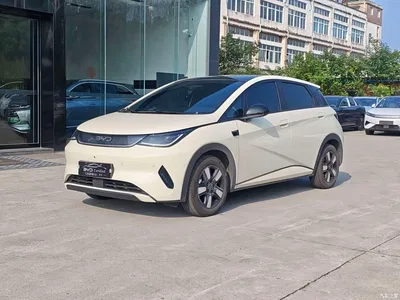 2025 BYD Dolphin Smart Drive Edition 410km Fashion Version, фото 1, лот 11177741
