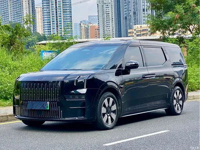 2022 ZEEKR 009 ME Edition, фото 1, лот 10291206