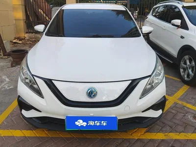 2021 Dongfeng Fengxing S50EV Luxury Model, фото 2, лот 11201889