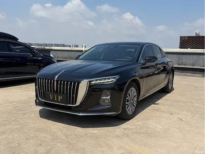 2023 Hongqi H5 2.0T Auto Smart Connect Flag Comfort, фото 1, лот 10287404