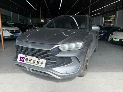 2023 BYD Song Pro New Energy Champion Edition DM-i 71KM Pilot Model, фото 1, лот 10275590