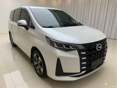 2021 GAC Trumpchi Trumpchi M6 PRO 270T Automatic Luxury Edition, фото 3, лот 10414342