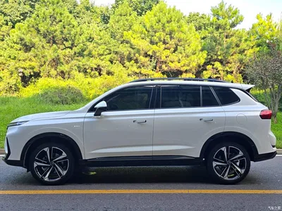2022 Roewe RX5 MAX 1.5T Auto Promising Luxury Edition, фото 3, лот 10340091