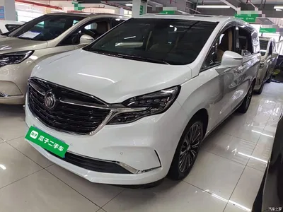 2021 Buick GL8 ES Landlord 653T Luxury, фото 1, лот 10611125