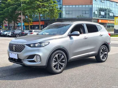2021 WEY VV6 2.0T FWD Smart Drive+, фото 1, лот 10888689