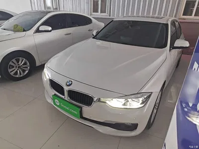 2016 BMW 3 Series 320Li Progressive, фото 1, лот 10457343