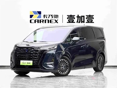 2022 Denza D9 DM-i 970 AWD Flagship, фото 1, лот 10345734