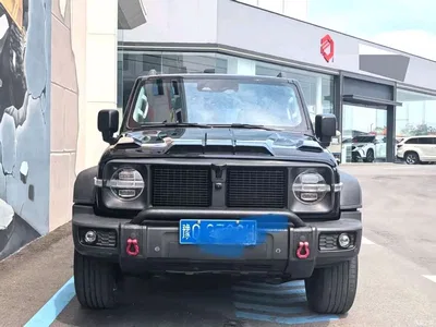 2021 Tank 300 Off-road Version 2.0T Conqueror, фото 2, лот 10398359