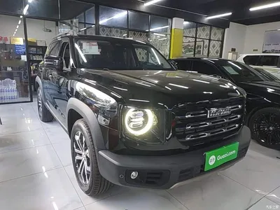 2022 Haval Big Dog 1.5T DCT FWD Border Collie Edition, фото 4, лот 11518586