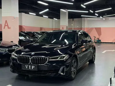 2021 BMW 5 Series 530Li Leading Luxury Package, фото 1, лот 11073619