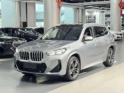 2023 BMW X1 sDrive25Li M Sport Package, фото 1, лот 10420574