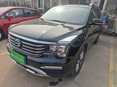 2017 GAC Trumpchi Trumpchi GS8 320T 2WD Luxury Smart Connect (7-seater), фото 2, лот 11181422