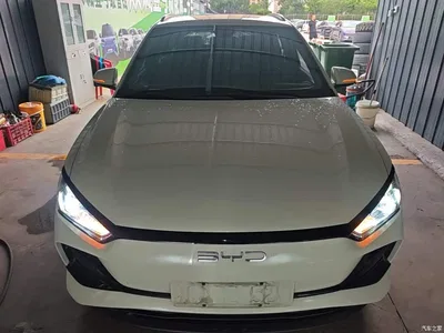 2023 BYD e2 Comfort Model, фото 3, лот 10267626