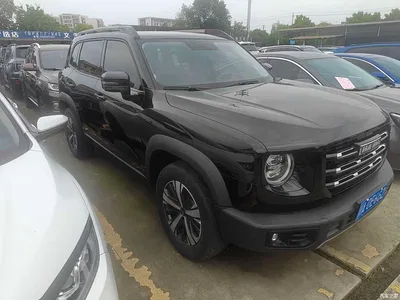 2022 Haval Big Dog 1.5T DCT FWD Labrador Edition, фото 3, лот 10361691