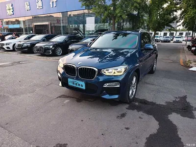 2018 BMW X3 xDrive25i M Sport Package China VI, фото 1, лот 11017797