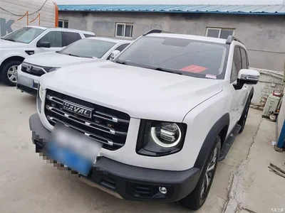 2021 Haval Big Dog 1.5T DCT 2WD Labrador Edition, фото 2, лот 10361235