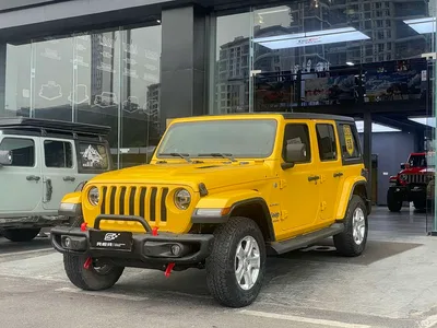 2019 Jeep Wrangler 2.0T Sahara 4-Door China VI, фото 1, лот 10418754