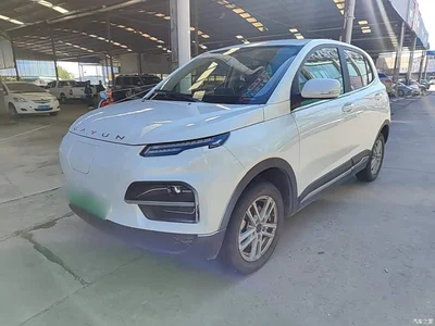 2022 Dayun Yuehu 30.66kWh 2WD Standard Edition, фото 2, лот 11570722