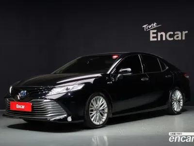 2019 Toyota Camry 2.5 XLE Hybrid, фото 1, лот 11583955