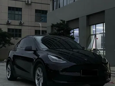 2022 Tesla Model Y Rear-Wheel Drive Version, фото 3, лот 11571532