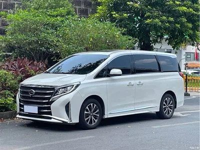 2024 GAC Trumpchi Trumpchi M8 Leadershow Series 390T Premium Edition, фото 1, лот 10414598
