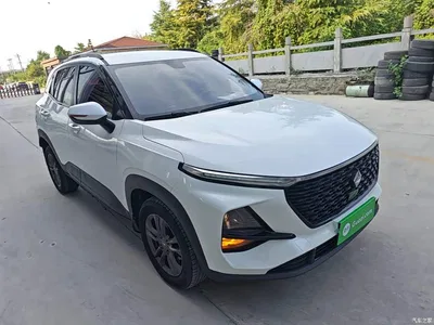2020 Baojun RS-3 Model 1.5L Manual 24-hour Online Elite, фото 4, лот 10409573