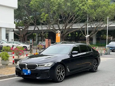 2022 BMW 5 Series Facelift 530Li Premium M Sport Package, фото 1, лот 11448386