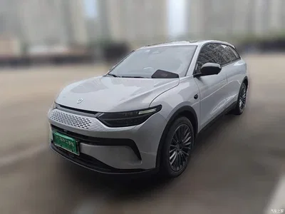 2023 Leapmotor C11 Extended Range 200 Comfort Edition, фото 1, лот 11073234
