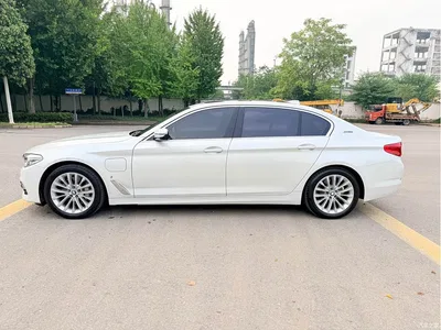 2019 BMW 5 Series New Energy 530Le Luxury Package, фото 4, лот 11087487