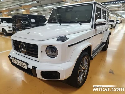 2025 Mercedes-Benz G-Class G450d, фото 1, лот 10053861