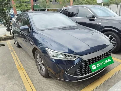 2023 BYD Qin PLUS Champion Edition DM-i 55KM Leading, фото 4, лот 10389635