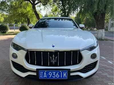 2016 Maserati Levante 3.0T Standard, фото 2, лот 10320706