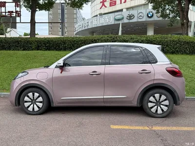 2023 Wuling Motors Wuling Bingo 333km Joyful Version, фото 3, лот 11535761