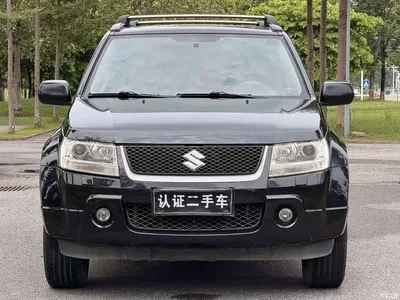2007 Suzuki Grand Vitara 2.0 AT Luxury, фото 2, лот 10314022