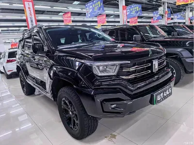 2024 Tank 400 New Energy Hi4-T Off-Road Edition, фото 1, лот 11068127