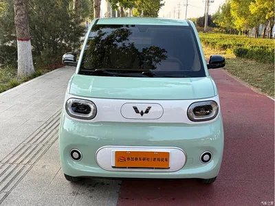 2024 Wuling Motors Hongguang MINIEV 3rd Generation 215km Youth Edition, фото 2, лот 10593452