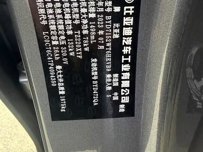 2023 BYD Qin PLUS Champion Edition DM-i 55KM Surpassing, фото 4, лот 10804141