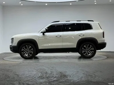 2024 Haval Big Dog 1.5T DCT Border Collie Edition, фото 4, лот 11535654