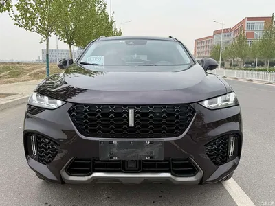 2017 WEY VV7 2.0T Flagship, фото 2, лот 10452036
