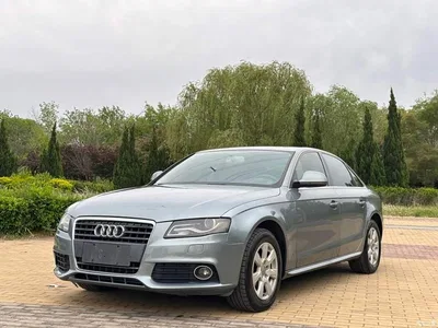 2009 Audi A4L 2.0 TFSI Luxury, фото 1, лот 10399749