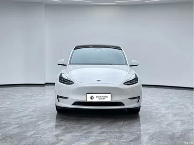 2024 Tesla Model Y Long Range AWD, фото 4, лот 10889129