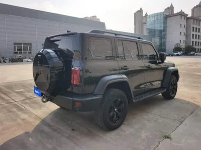 2021 Tank 300 Off-road Edition 2.0T Challenger, фото 3, лот 10346545