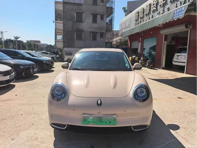 2023 Ora Good Cat 401km Standard Range Premium LFP, фото 3, лот 11568299