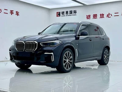 2022 BMW X5 Facelift xDrive 30Li Premium M Sport Package, фото 1, лот 11007925