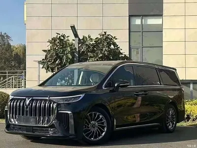 2022 Voyah Auto Voyah Dreamer Low-carbon Dream+Smart Package, фото 1, лот 11226056
