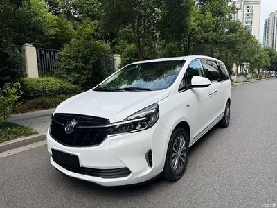 2020 Buick GL8 Model Land Business Class 652T Luxury, фото 1, лот 10284841