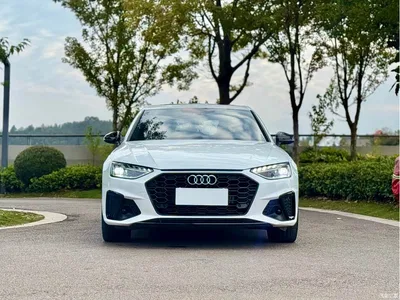 2024 Audi A4L 40 TFSI Luxury Dynamic, фото 2, лот 10386419